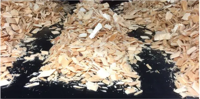 Figure 2 Collection of wood chips from conveyor belt 