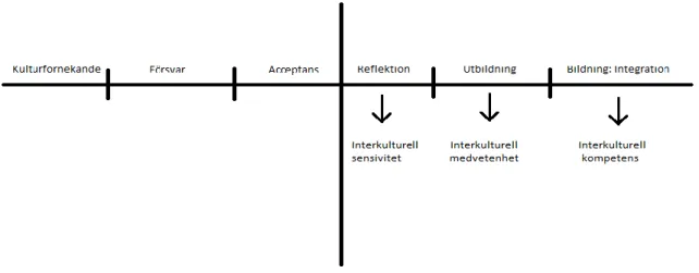 Fig. 1 Utveckling mot interkulturell kompetens (Lorentz &amp; Bergstedt 2006:131) 