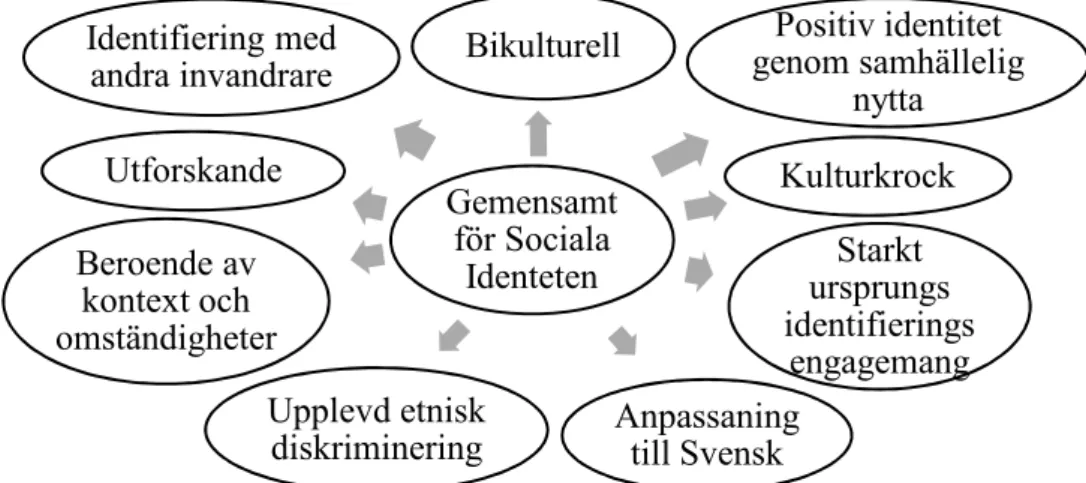 Figur 1. Gemensamt för Sociala identiteten 