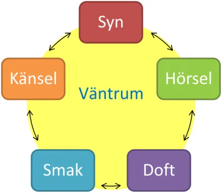 Figur 2. Egenkonstruerad modell. De fem sinnena. 