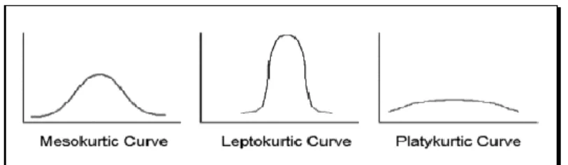 Figure 4 - Different Stages of Kurtosis.              (Kurtosis, n.d) 