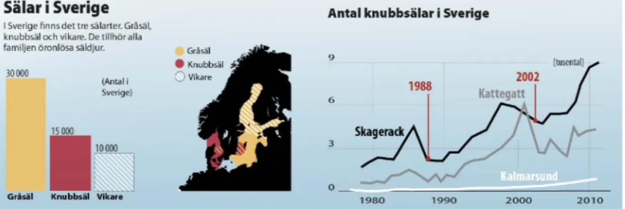 Illustration 8: Visualisering av statistik