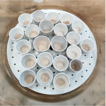 Figure 6 Picture of some of the samples in porcelain dishes with ash 