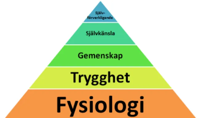 Figur 3 tydliggör Maslows behovspyramid. Egen version. 