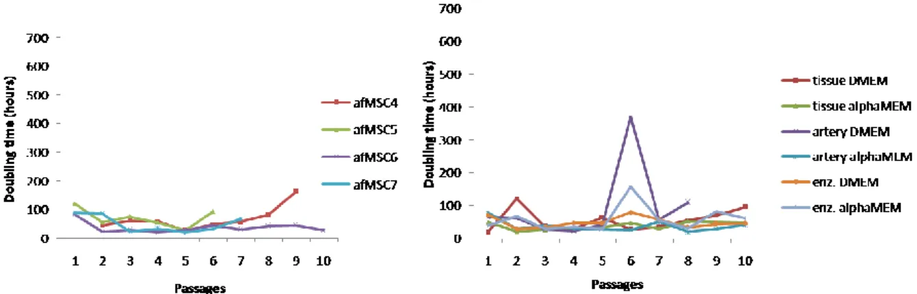 Figure 2 Cell doubling time afMSC (A) and ucMSC (B). The cell cultures shows analogous proliferation rate  throughout the 5 first passages and thereafter they diverge, afMSC5 became senescent at passage 7  average  doubling time was 59,1 ±76,9 hours at pas