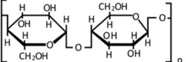 Figure 2: Primary structure of cellulose.