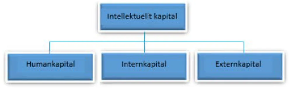 Figur 2.1 IK och dess kapitalformer. 
