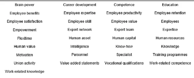 Tabell 2.1 IK-begrepp som används i innehållsanalysen tillhörande humankapital. 