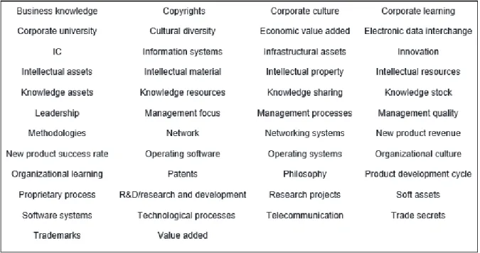 Tabell 2.2 IK-begrepp som används i innehållsanalysen tillhörande internkapital. 