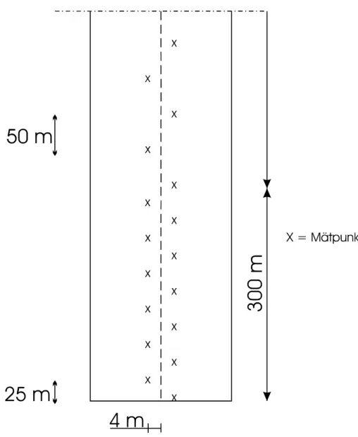 Figur 2  Mätpunkternas placering på en rullbana. 