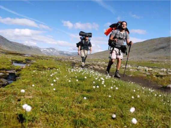 Figure 7. Kungsleden, Sveriges mest besökta led. 