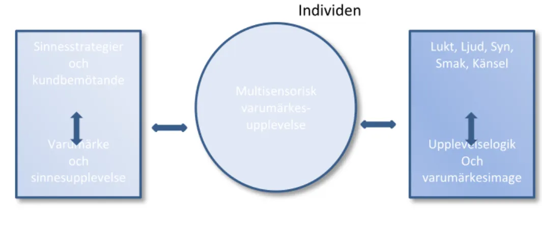 Figur 3.1 Sinnesmarknadsföring- en modell (Hultén, Broweus &amp; Van Dijk, 2011). 