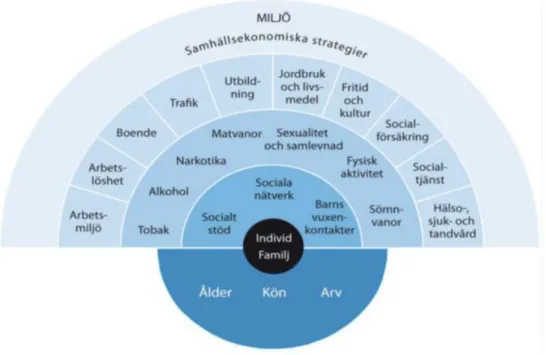 Figur 1. Faktorer som påverkar individens hälsa (Socialstyrelsen och Statens folkhälsoinstitut, 2013)