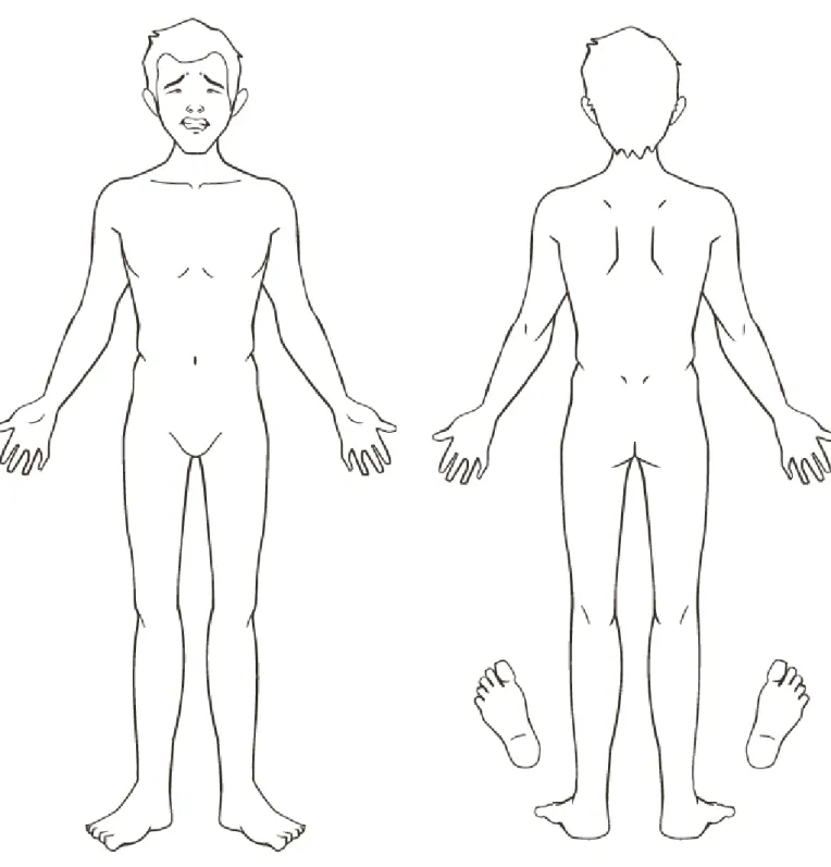 Illustration mannens kropp