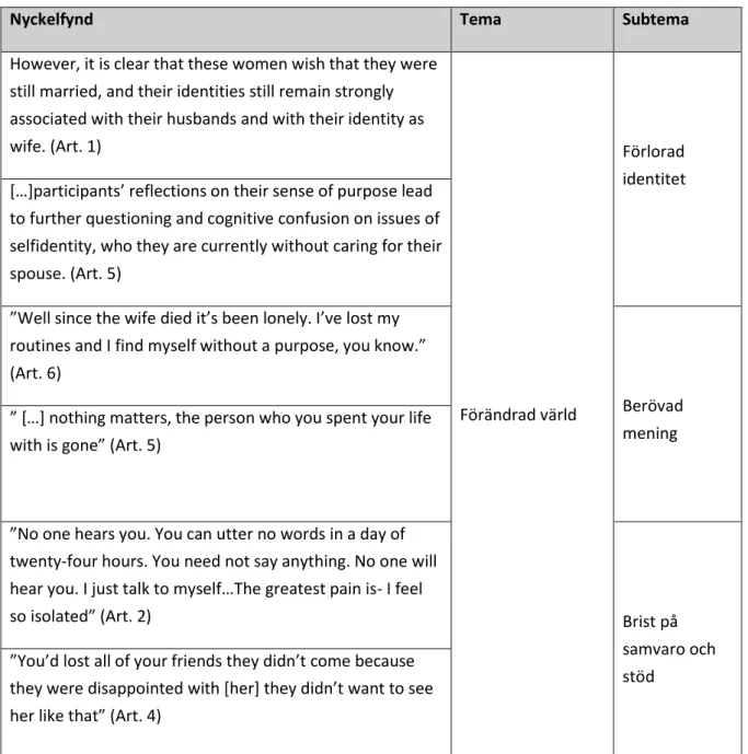 Tabell 1: Utdrag ur analysmatrisen 