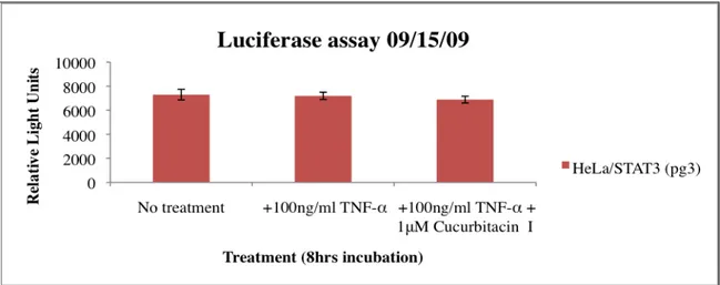 Figure 6. Luciferase assay using HeLa/STAT3-luc cells at a passage of 3 (pg3). All wells except the wells  with media alone (no treatment) were treated with 100ng/ml TNF-α to induce STAT3 activity