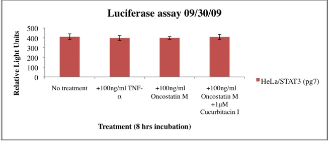 Figure 9. Luciferase assay using HeLa/STAT3-luc cells at a passage of 7. All wells except the wells with  media alone (no treatment) were treated in some wells with 100ng/ml TNF-α and in others with 100ng/ml  Oncostatin M, to induce STAT3 activity