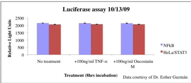 Figure 11. Luciferase assay using HeLa/STAT3-luc and NFkB-luc cell lines. All wells except the wells with  media alone (no treatment) were treated in some wells with 100ng/ml TNF-α and in others with 100ng/ml  Oncostatin M, to induce STAT3 and NFkB activit