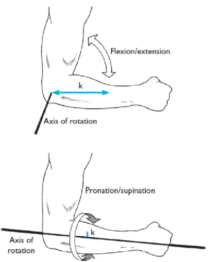 Figure 8: The axes of rotation during flexion/extension and pronation/supination. (Hall, 2015) 