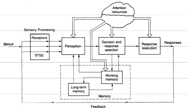 Figure 2  A model of human information processing (Wickens, 1991). 