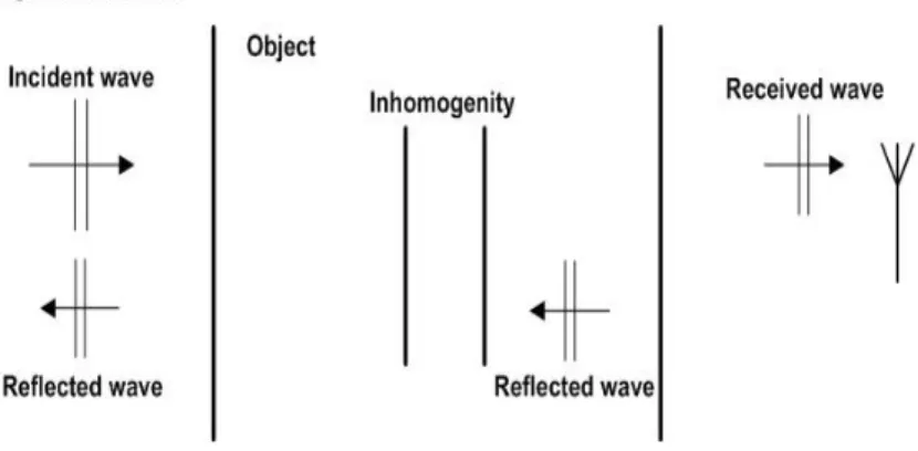 Figure 4.1: A simplified model of the dynamical response from an inhomogeneity inside an object.