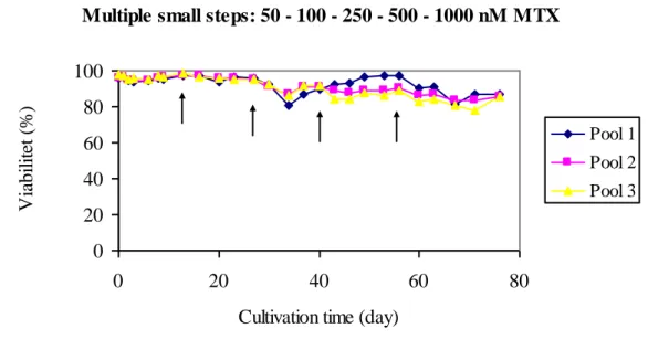 Figure 6: Viability recovery profile from three cell pools from amplification through  multiple rounds of stepwise increasing MTX concentrations (50, 100, 250, 500, 1.000  nM MTX)