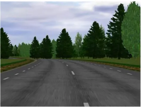 Figure 3: The colour buffer that shows the road as it would look during daylight  conditions