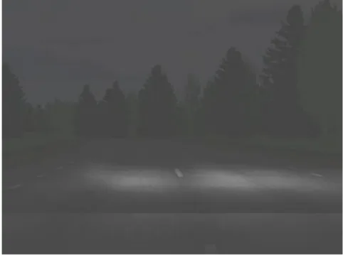 Figure 6: The final render that shows the road as it would look during twilight  conditions