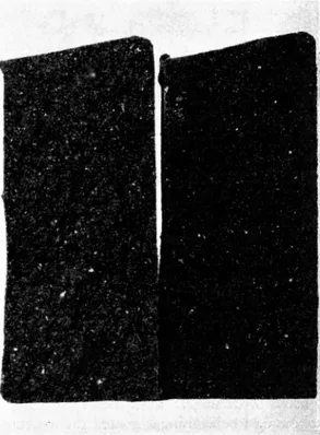 Fig.  13.  Foto  av  brottytor.  Massan  är  densamma  i  de  två  sönderslitna  provstyckena