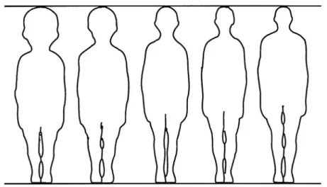Figur 1 Människokroppens proportioner i relation till olika åldrar Från vänster till höger- nyfödd, 2-åring, Ö-åring, 12-åring och vuxen (25 år)
