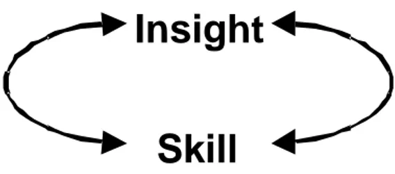 Figure 1 Interaction between skill and insight
