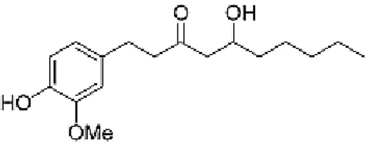 Figure 3: Molecular structure of the TRPV1 agonist [6]-gingerol, showing similarities with AM404 in figure 2.