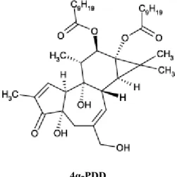 Figure 4: Molecular structure of the TRPV4 agonist 4α-PDD.