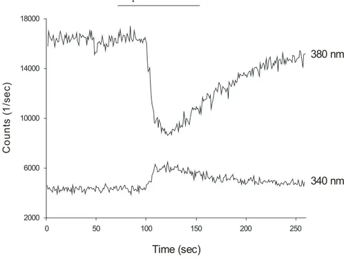 Figure 7a. The use of dual excitation ratiometric fluorometry for measuring [Ca 2+ ] I  in S5 cells