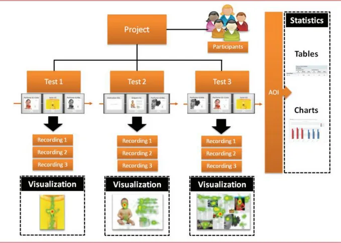 Figure 2: Tobii Studio overview 