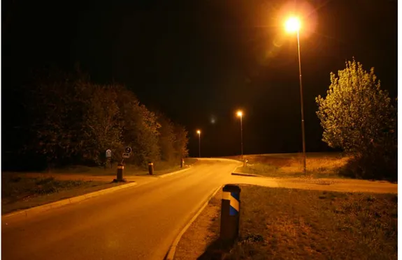 Figure 6  The pinkish-orange high pressure sodium lamps (HPS) is the most widely  used lamp type in street lighting
