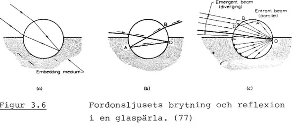 Figur 3.6 Fordonsljusets brytning och reflexion i en glaspärla. (77)