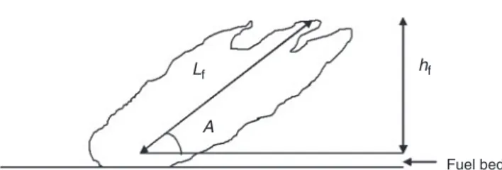 Fig. 2. The different characteristics of a flame: flame length (L f ), flame angle (A) and flame height (h f ).