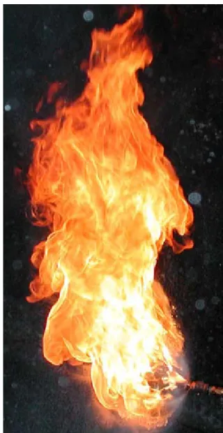 Figure 3. A hydraulic fluid spray fire /6/. 