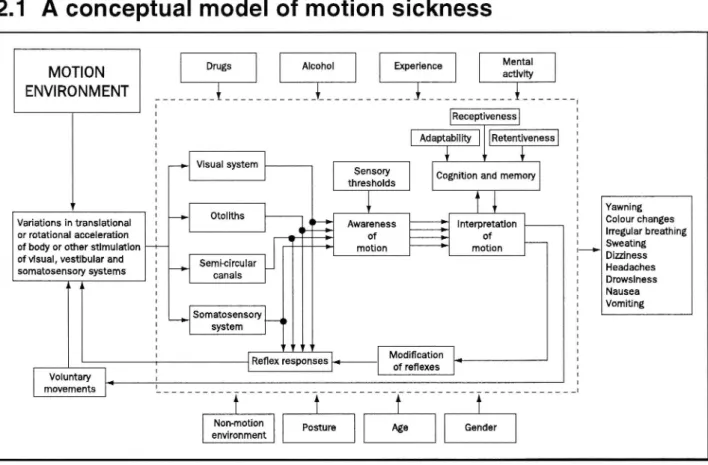 Figure 2 A conceptual model offactors possibly causing motion sickness.