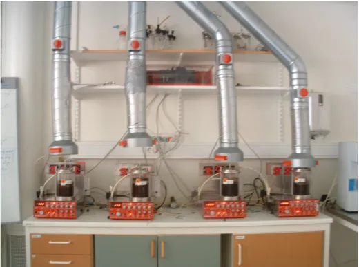 Figure 3.3. The bioreactor system, filled with sludge containing DDT in four different  concentrations.