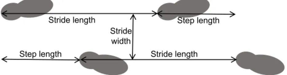 Figure 2.3: Examples of step length, stride length and stride width.