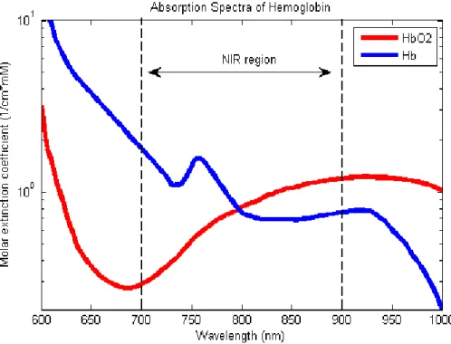 Figure 1: Absorption spectra of oxygenated hemoglobin (HbO2) and deoxygenated hemoglobin (Hb) for red and infrared wavelengths