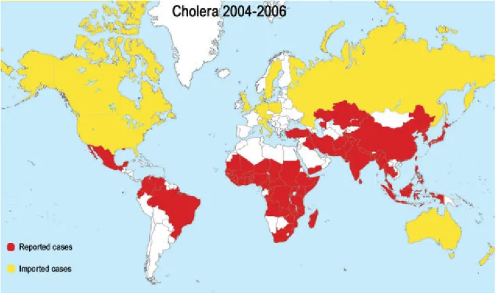 Figur 1. Utbredning av kolera år 2004-2006 [3] . 