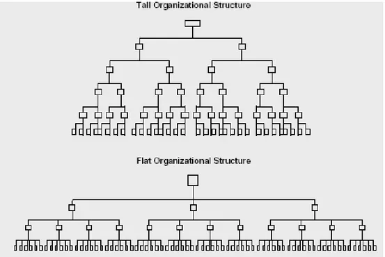 Figure 2: Flat vs. Tall Organization Hierarchy 44