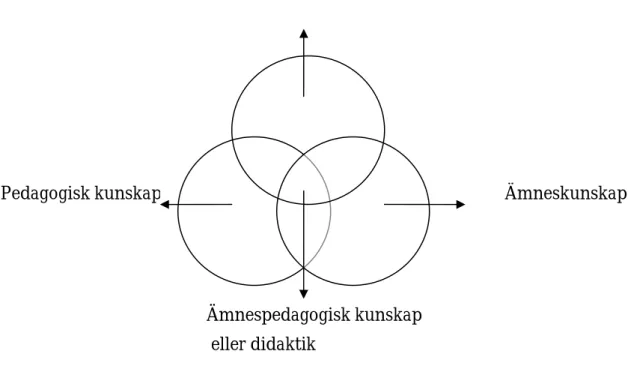 Figur 1.   Shulmans beskrivning av ämnespedagogisk kunskap. (Efter Kroksmark,  2011.) 