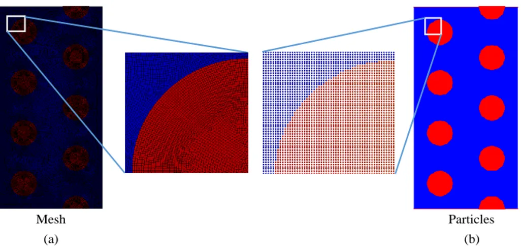 Figure 3.18: Numerical discretization for the tube bank heat exchanger model (a) FVM mesh (∼300000 cells) (b) SPH particles (∼300000 particles)