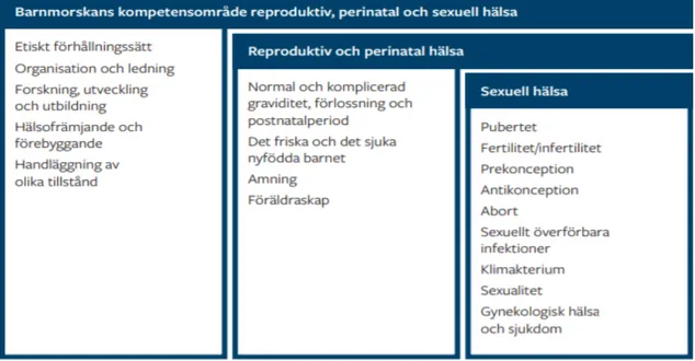 Figur 1: Hämtad från Svenska Barnmorskeförbundets kompetensbeskrivning för legitimerad  barnmorska (2018).