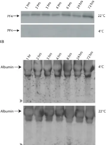 Figur 4. Kallhantering av K 2 EDTA-blod minimerar cellulär proteinfrisättning vid kortvarig  inkubering