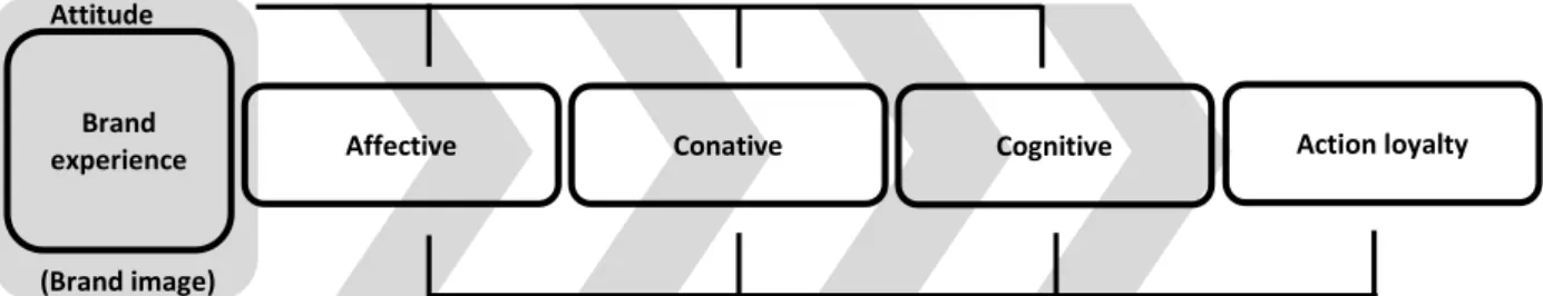 Figure 1: Loyalty phases. Own illustration based on Oliver’s Loyalty phases (1999, p. 35) 